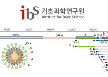 world’s first high-resolution genetic map for the new coronavirus.