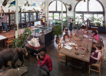 Hyundai conducts a collaborative study Rhode Island School of Design (RISD) into the natural and built environments relationships for future mobility