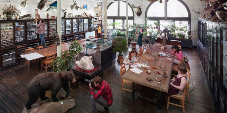 Hyundai conducts a collaborative study Rhode Island School of Design (RISD) into the natural and built environments relationships for future mobility