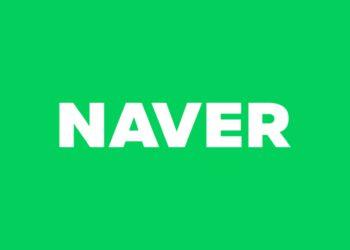 Government Inspects Naver, Calls for Better Disaster Management
