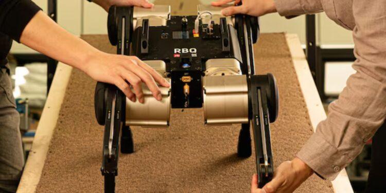 Samsung Gains Green Light to Acquire Rainbow Robotics, Advancing AI-Driven Automation