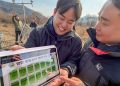 KT Installs Solar-Powered IoT Weather System to Support Wetland Research