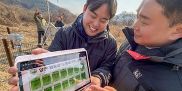 KT Installs Solar-Powered IoT Weather System to Support Wetland Research