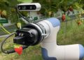 MiFood Says South Korea Is Becoming a ‘Living Laboratory’ for Food Robotics