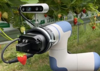 MiFood Says South Korea Is Becoming a ‘Living Laboratory’ for Food Robotics