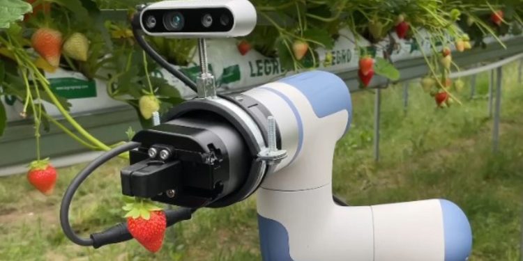 MiFood Says South Korea Is Becoming a ‘Living Laboratory’ for Food Robotics